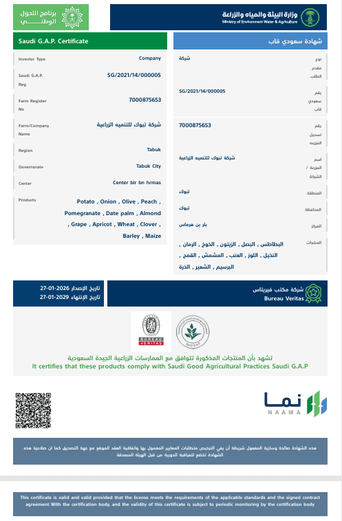شهادة سعودي قاب المقدمة ضمن ملف محتوى تادكو